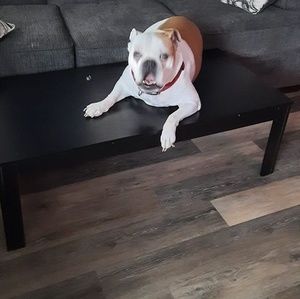 Meet your Posher, Sherry